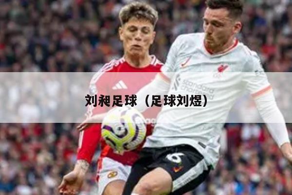 刘昶足球（足球刘煜）