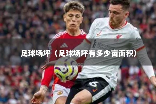足球场坪（足球场坪有多少亩面积）