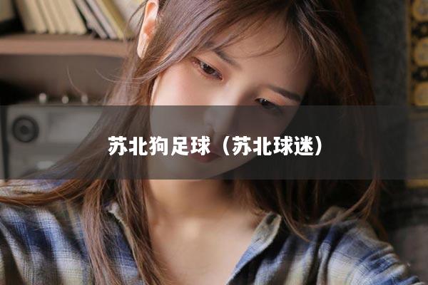 苏北狗足球（苏北球迷）