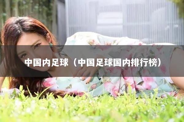 中国内足球（中国足球国内排行榜）